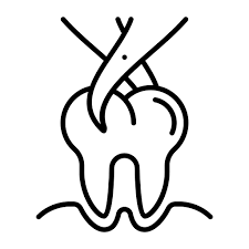Tooth Extraction Tooth Extraction